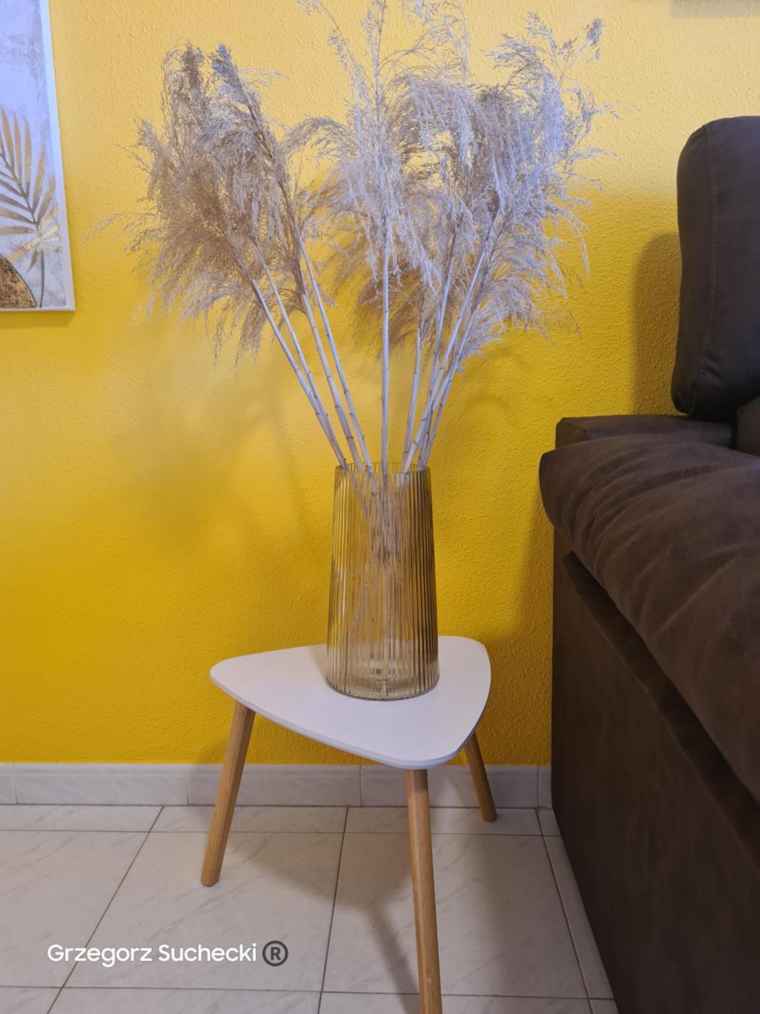 Apartamento Parquemar Apartman La Mata  Kültér fotó